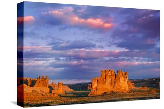 Stretched Canvas Print, , large
