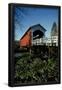 Essential Black