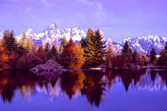 Premium Photographic Print, , large