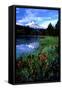 Canvas Black