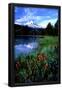 Essential Black
