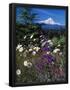 Essential Black