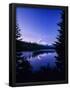 Essential Black