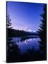 Stretched Canvas