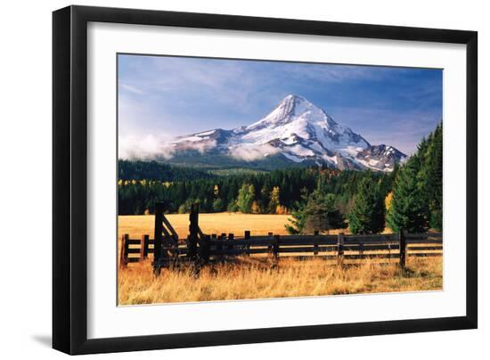 Premium Photographic Print, , large