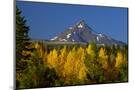 Wood Mount