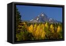 Canvas Black