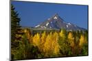 Wood Mount