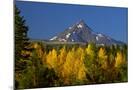 Wood Mount