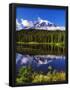 Essential Black