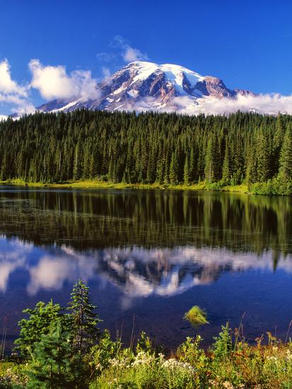 Premium Photographic Print, , large