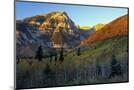 Wood Mount