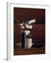 Ikebana I-Yuki Ross-Framed Art Print