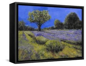 Il Campo Di Lavanda-Guido Borelli-Framed Stretched Canvas