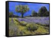 Il Campo Di Lavanda-Guido Borelli-Framed Stretched Canvas