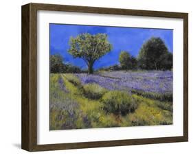 Il Campo Di Lavanda-Guido Borelli-Framed Giclee Print