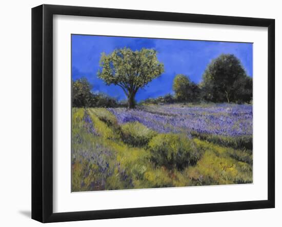 Il Campo Di Lavanda-Guido Borelli-Framed Giclee Print