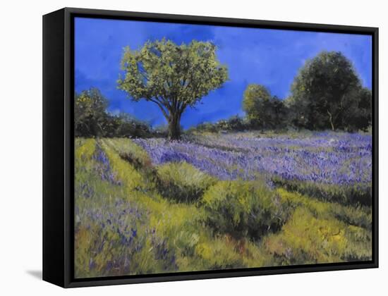 Il Campo Di Lavanda-Guido Borelli-Framed Stretched Canvas