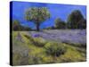 Il Campo Di Lavanda-Guido Borelli-Stretched Canvas