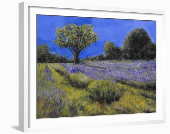 Il Campo Di Lavanda-Guido Borelli-Framed Giclee Print