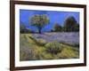 Il Campo Di Lavanda-Guido Borelli-Framed Giclee Print