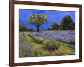 Il Campo Di Lavanda-Guido Borelli-Framed Giclee Print