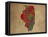 IL Colorful Counties-Red Atlas Designs-Framed Stretched Canvas