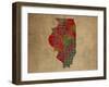 IL Colorful Counties-Red Atlas Designs-Framed Giclee Print