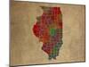 IL Colorful Counties-Red Atlas Designs-Mounted Giclee Print