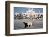 Il etait une fois en Amerique ONCE UPON A TIME IN AMERICA by SergioLeone with Darlanne Fluegel, 198-null-Framed Photo