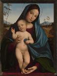 Madonna and Child, 1490-9-Il Francia-Stretched Canvas