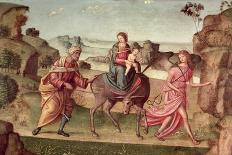 Saint Francis, 1480 Oil on Panel-Il Francia-Giclee Print