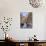 Il Gatto Nero a Venezia-Guido Borelli-Mounted Giclee Print displayed on a wall