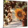 Il Girasole-Guido Borelli-Mounted Giclee Print