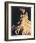 Il Leone, 2008-Robert Aragon-Framed Giclee Print