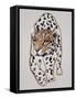 Il Leopardo No.I-Gabriella Roberg-Framed Stretched Canvas