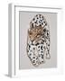 Il Leopardo No.I-Gabriella Roberg-Framed Photographic Print