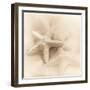 Il Oceano No. 1-Alan Blaustein-Framed Photographic Print