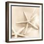 Il Oceano No. 2-Alan Blaustein-Framed Photographic Print