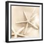 Il Oceano No. 2-Alan Blaustein-Framed Photographic Print