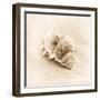 Il Oceano No. 3-Alan Blaustein-Framed Photographic Print