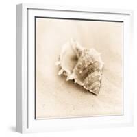 Il Oceano No. 3-Alan Blaustein-Framed Photographic Print