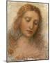 Il Redentore-Leonardo da Vinci-Mounted Premium Giclee Print