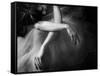 Il Sogno-Roberta Nozza-Framed Stretched Canvas