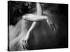 Il Sogno-Roberta Nozza-Stretched Canvas