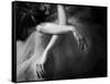 Il Sogno-Roberta Nozza-Framed Stretched Canvas