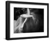 Il Sogno-Roberta Nozza-Framed Photographic Print