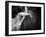 Il Sogno-Roberta Nozza-Framed Photographic Print