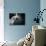 Il Sogno-Roberta Nozza-Photographic Print displayed on a wall