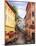 Il Villaggio-R. Magrini-Mounted Art Print